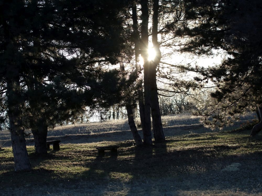 Újra megnyitja kapuit a Pákozd-Sukorói Arborétum szerdától